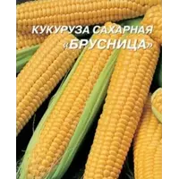 Продам семена кукурузы сахарной, оптом и в розницу